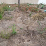 Lote no Jardim do Bosque, aceita financiamento ou aquisição de terreno e construção .