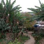 Terreno à venda em Parque Fernanda, São Paulo, SP