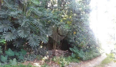 Terreno à venda em Tremembé, São Paulo, SP