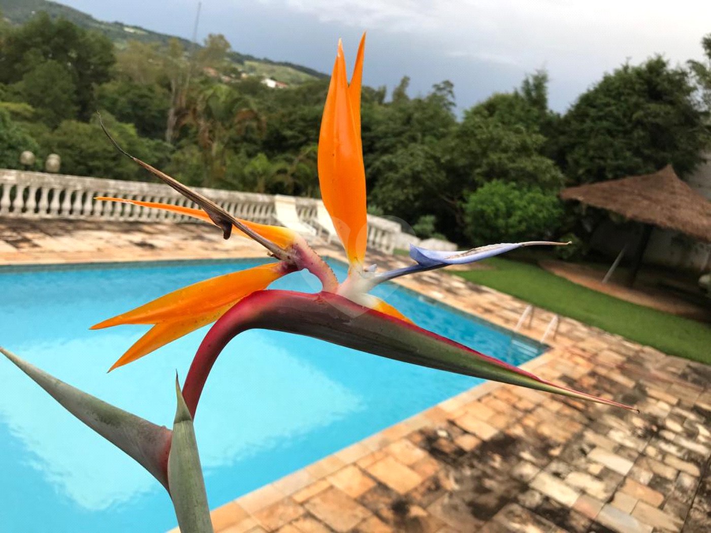 Casa à venda com 5 quartos, sendo 1 suíte, em Portal das Acácias, Santana de Parnaíba, SP