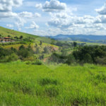 GLEBAS RURAIS EM PIRACAIA A PARTIR 20.000 M², EXCELENTE PARA CHÁCARAS E FAZENDINHAS