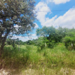 Lote à Venda – Oportunidade! 1.000 m² – Recanto Campestre Internacional de Viracopos (Gleba 4) – Indaiatuba/SP