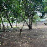Chácara à venda com 3 quartos, sendo 1 suíte, em Bosque, Vinhedo, SP
