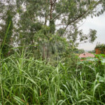 Terreno à venda em Morumbi, São Paulo, SP
