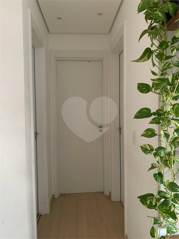 Apartamento à venda com 2 quartos em Jaraguá, São Paulo, SP