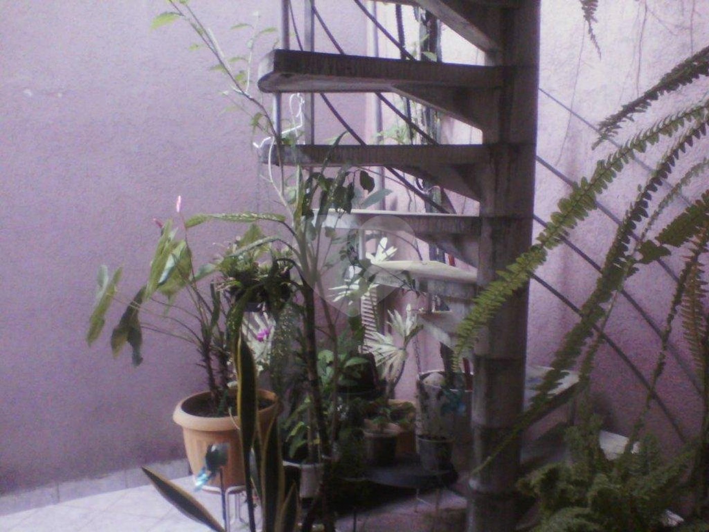 Sobrado à venda com 3 quartos, sendo 1 suíte, em Parque Mandaqui, São Paulo, SP