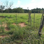 Fazenda à venda com 2 quartos no Centro, Estreito, MA