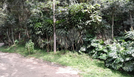 Terreno à venda em Serra da Cantareira, Mairiporã, SP