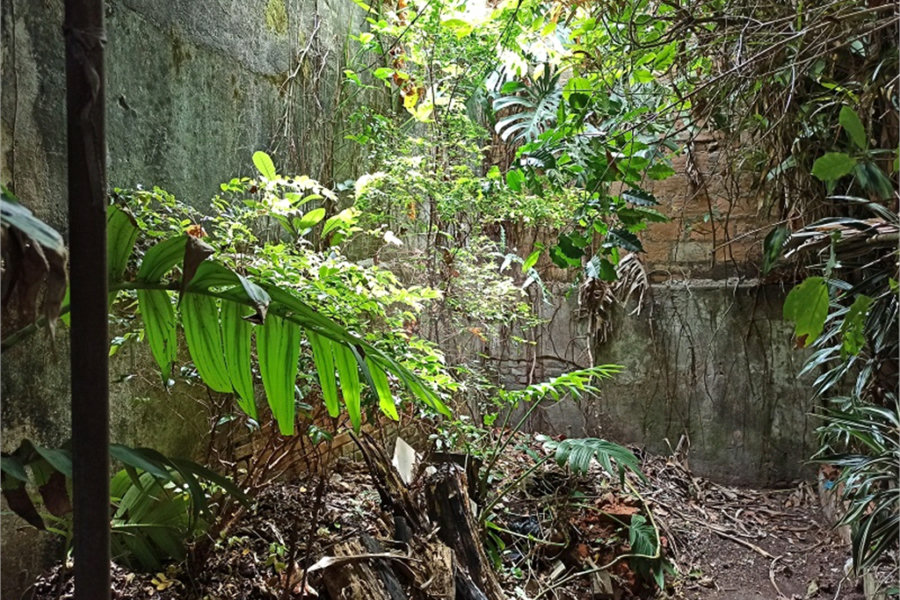 Casa à venda com 3 quartos em Vila Romero, São Paulo, SP