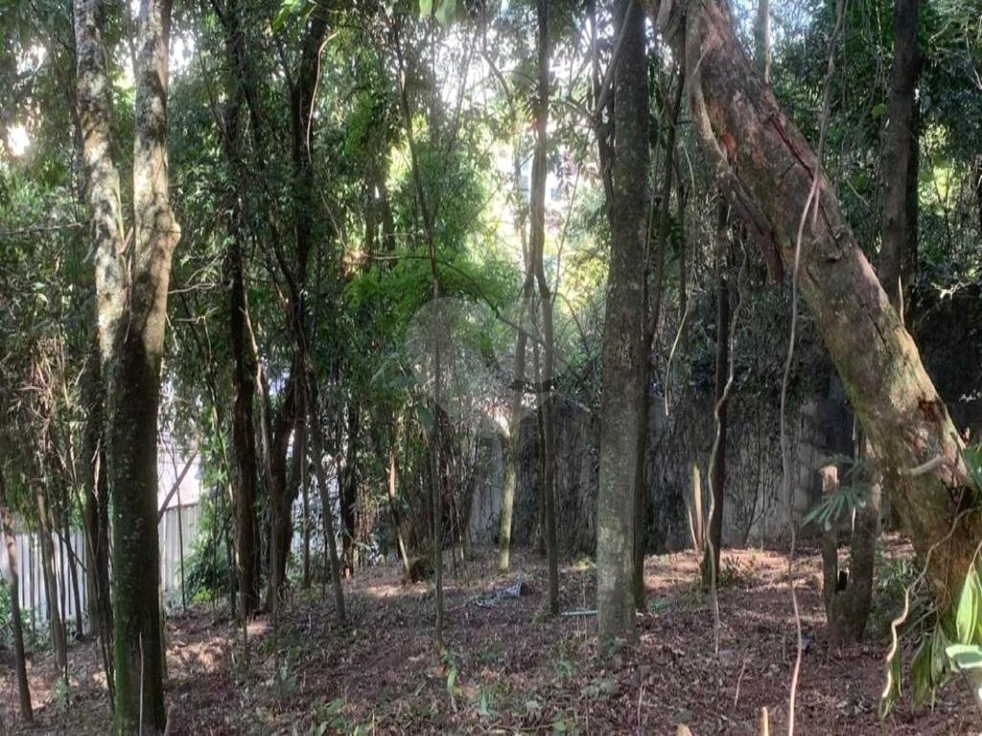 Terreno à venda em Jardim Peri Peri, São Paulo, SP