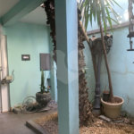 Casa à venda com 3 quartos, sendo 2 suítes,  em Vila Constança, São Paulo, SP