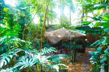 Sobrado à venda com 5 suítes em Alto da Boa Vista, São Paulo, SP