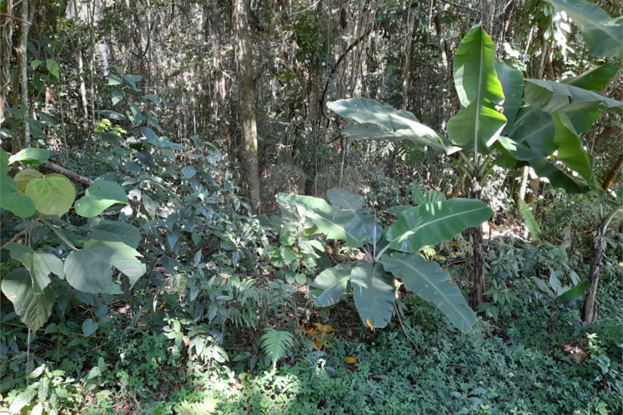Terreno à venda em Roseira, Mairiporã, SP