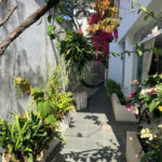 Casa à venda com 4 quartos, sendo 2 suítes,  em Tremembé, São Paulo, SP