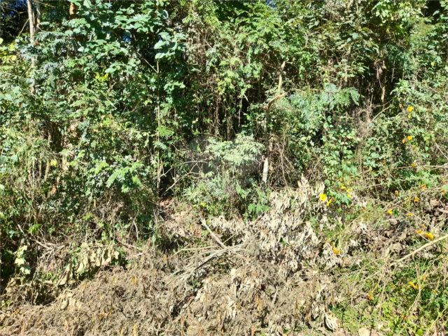 Terreno à venda em Roseira, Mairiporã, SP
