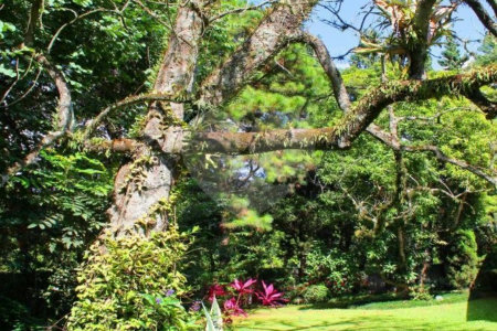 Casa Térrea à venda com 3 quartos, sendo 1 suíte, em Granja Julieta, São Paulo, SP