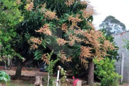 Casa à venda com 2 suítes no condomínio Portal dos Pássaros, Alambari - SP