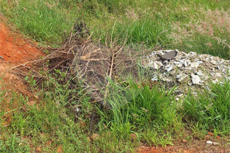 Terreno à venda em Cidade Nova, Bom Jesus dos Perdões, SP