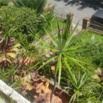 Sobrado à venda com 3 quartos em Jardim São Bento, São Paulo, SP
