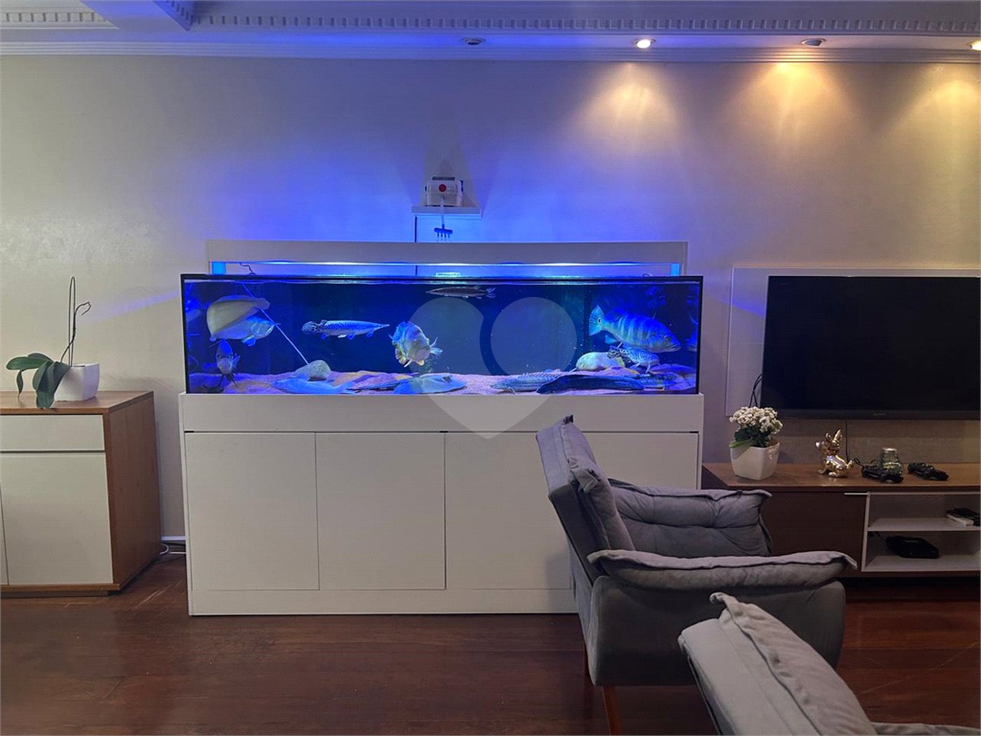 Apartamento à venda com 4 quartos, sendo 3 suítes,  em Interlagos, São Paulo, SP