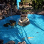 Sítio à venda com 6 quartos, sendo 3 suítes, em Parque Nova Xampirra, Itatiba, SP