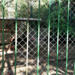 Casa de Vila à venda com 3 quartos, sendo 1 suíte, em Vila Isabel, Rio de Janeiro, RJ
