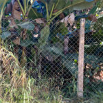 Terreno à venda em Luiz Fagundes, Mairiporã, SP