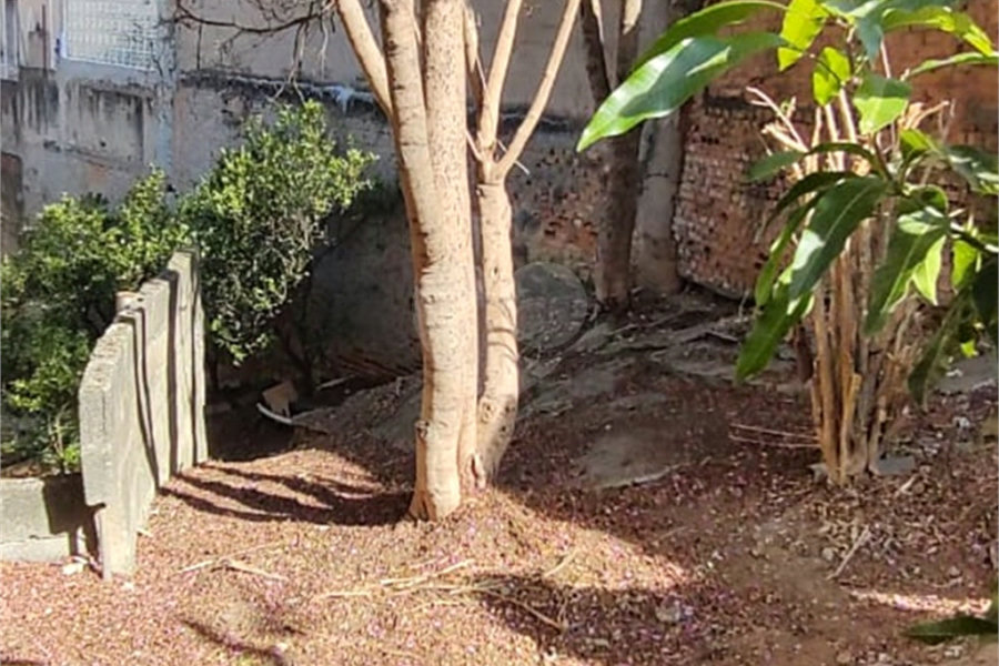 Terreno à venda em Vila Gustavo, São Paulo, SP