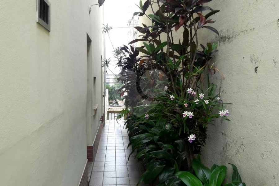 Sobrado à venda com 3 quartos em Tucuruvi, São Paulo, SP