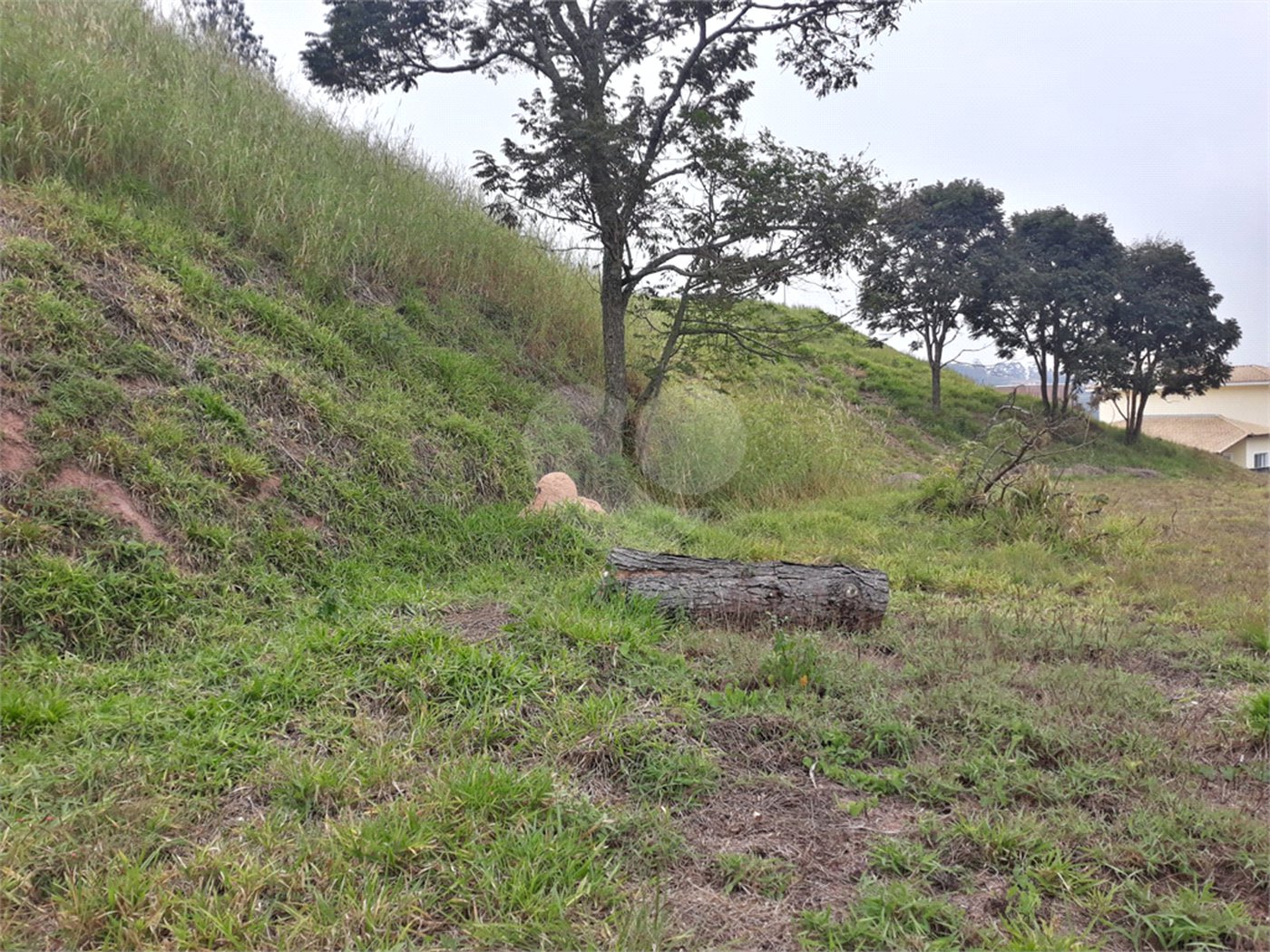 Terreno à venda em Taipas de Pedras (mailasqui), São Roque, SP