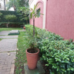 Apartamento à venda com 3 quartos em Mandaqui, São Paulo, SP