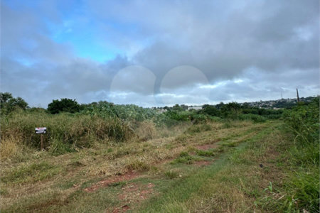 Terreno à venda em Bosque de Ponta Porã, Ponta Porã, MS