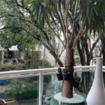 Apartamento à venda com 3 suítes em Perdizes, São Paulo, SP