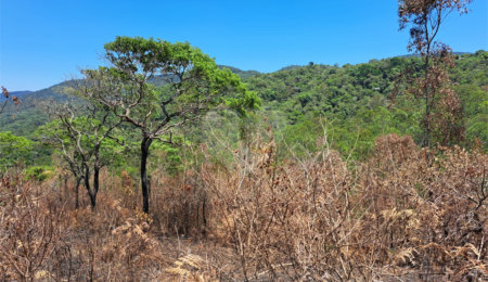 Terreno à venda em Serra da Cantareira, Mairiporã, SP
