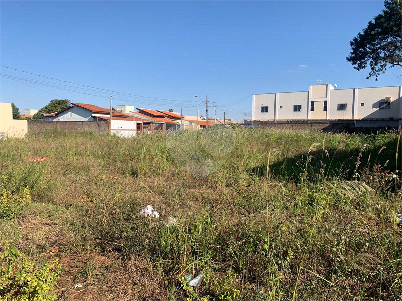 Terreno à venda em Setsul, Três Lagoas, MS