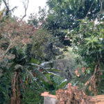 Terreno à venda em Jaraguá, São Paulo, SP