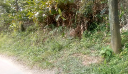 Terreno à venda em Caraguatá, Mairiporã, SP