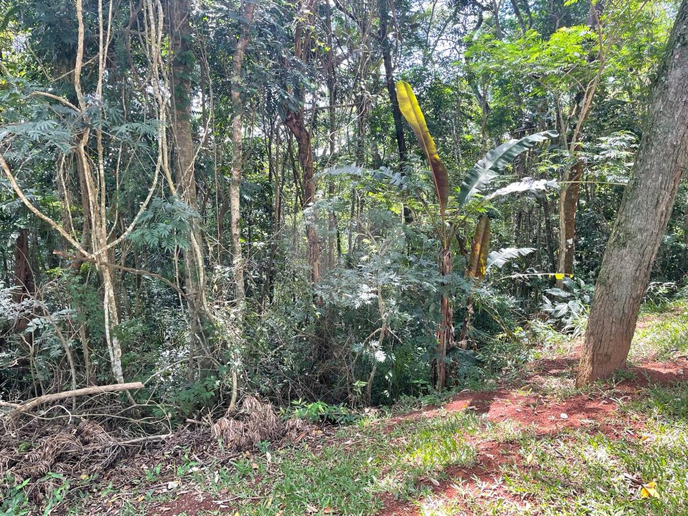 Terreno à venda no condomínio Cantareira, Mairiporã - SP