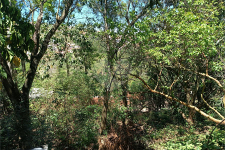 Chácara à venda com 3 quartos, sendo 1 suíte, em Jardim Waldez, Mairinque, SP