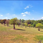 Terreno à venda no condomínio Jardim Reserva Bom Viver de Indaiatuba, Indaiatuba - SP