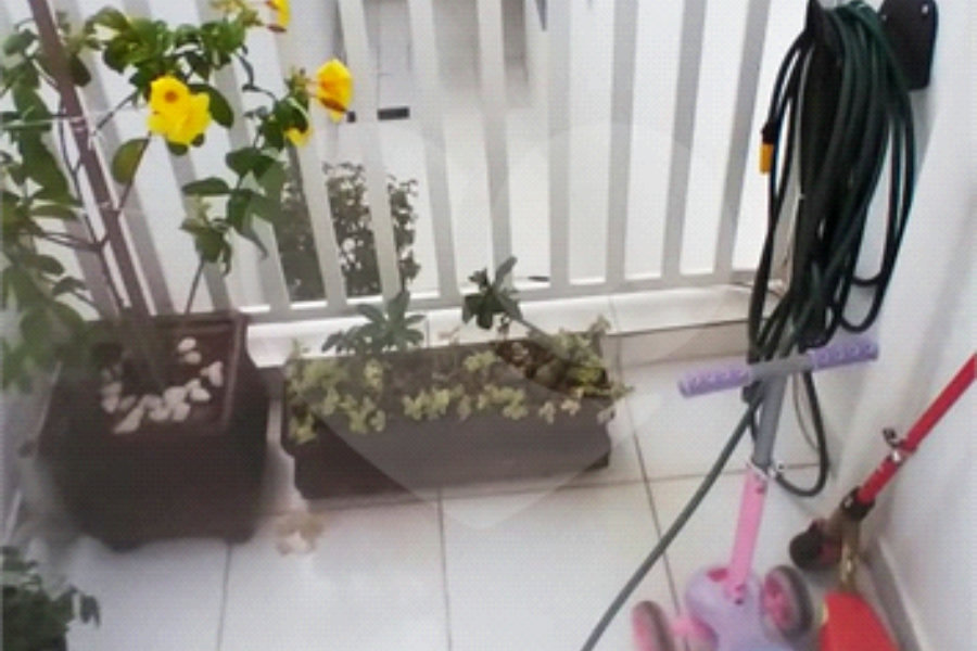 Casa à venda com 4 quartos, sendo 1 suíte, em Santana, São Paulo, SP