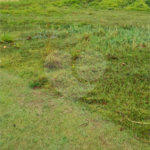 Terreno para alugar no Centro, Vinhedo, SP