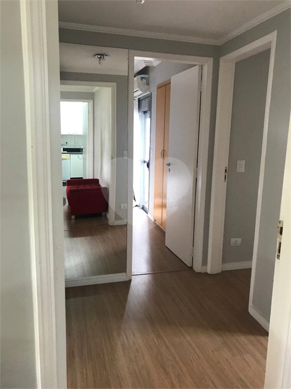 Apartamento à venda com 3 quartos, sendo 1 suíte, em Vila Paulicéia, São Paulo, SP