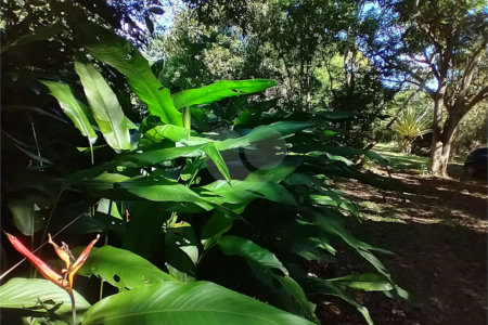 Casa à venda com 1 quarto em Vila Verde, Armação dos Búzios, RJ