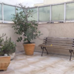 Apartamento à venda com 3 quartos, sendo 2 suítes, em Mandaqui, São Paulo, SP