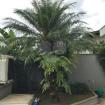 SOBRADO ALTO PADRÂO COND.PARQUE SABARA