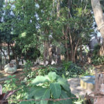 Terreno à venda com 1 quarto em Sumaré, São Paulo, SP