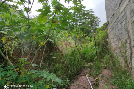 Terreno à venda em Chora Menino, São Paulo, SP