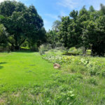 Terreno à venda em Cachoeira, Vinhedo, SP