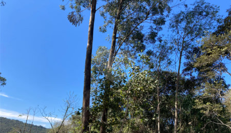 Terreno à venda no condomínio Suíça da Cantareira, Mairiporã - SP